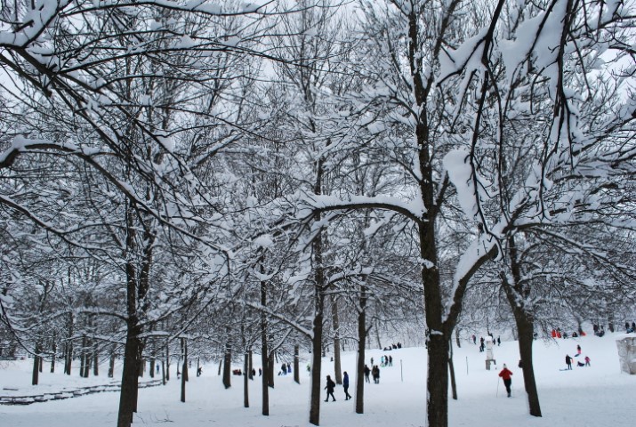 Montréal en bref — Montréal
